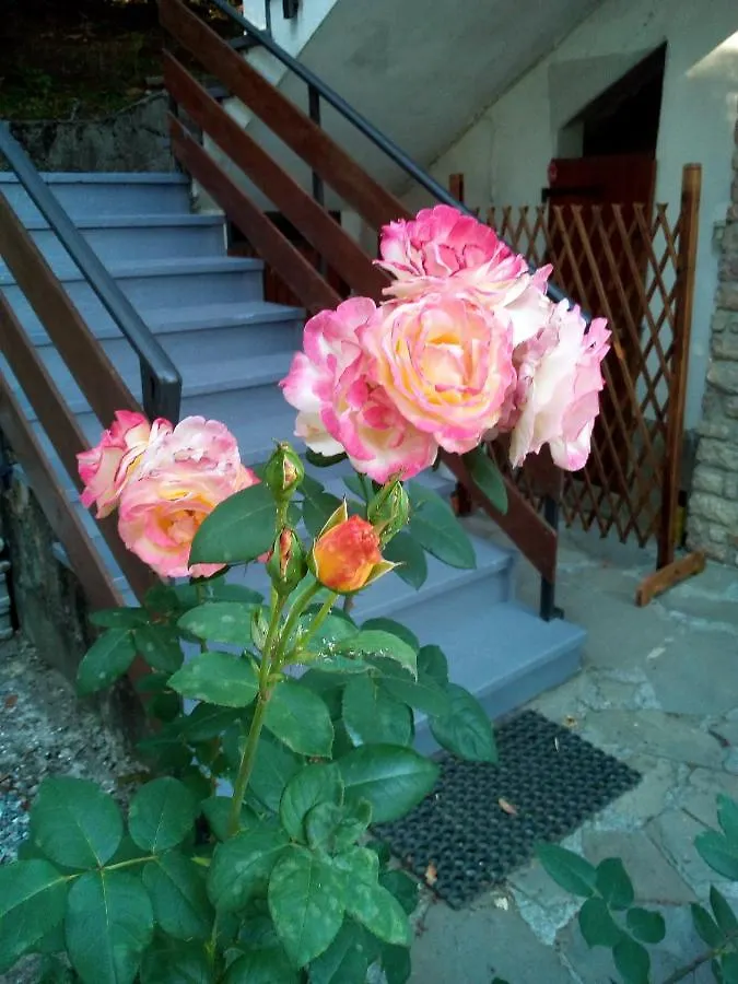 M&G Ranch Bed & Breakfast Vendaso